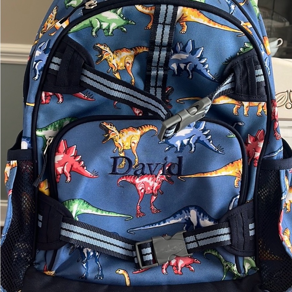 “David” Dinosaur Pottery Barn Backpack